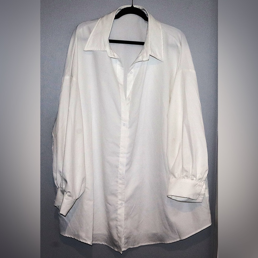 SHIEN Plus size Women's Long Sleeve Oversized Satin Buttondown shirt